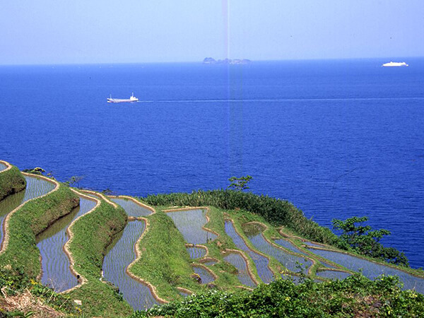 新井の棚田